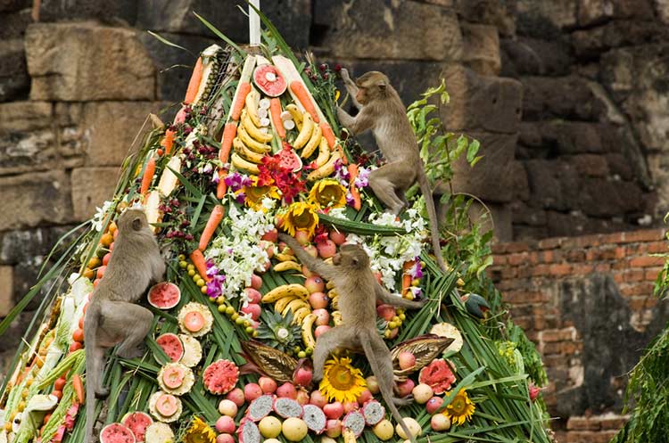 Monkeys feasting on the food at the Lopburi monkey buffet festival