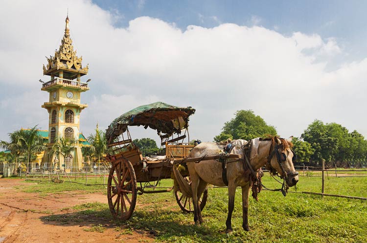 An horse cart used for local transportation around the ancient cities near Mandalay