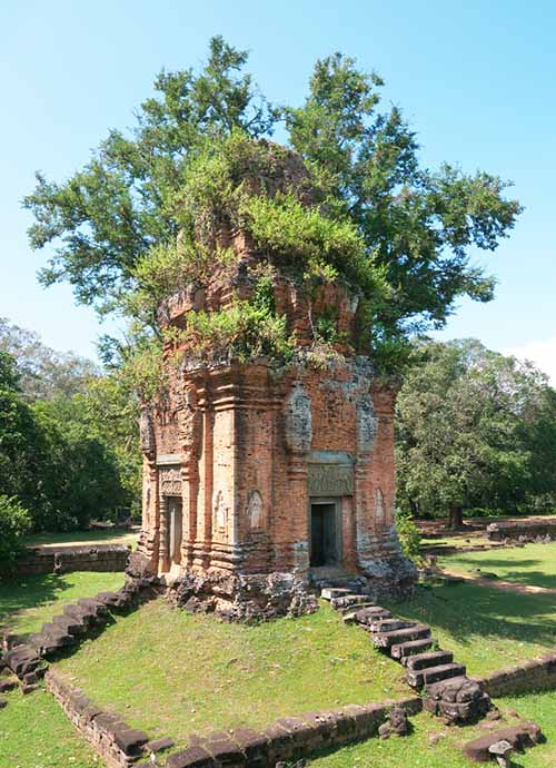 An overgrown brick sanctuary at the Bakong