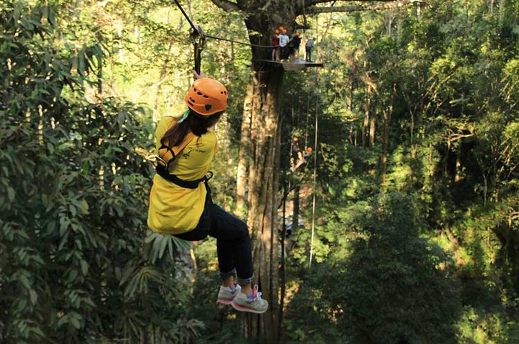 Ziplining through the jungle at Flight of the Gibbon Chiang Mai
