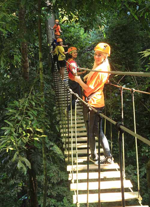 Rope bridge high above the jungle floor