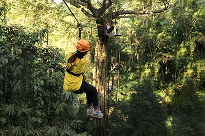 Ziplining through the forest at Flight of the Gibbon
