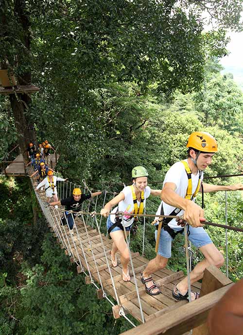 Suspension bridge high above the jungle floor to the next platform