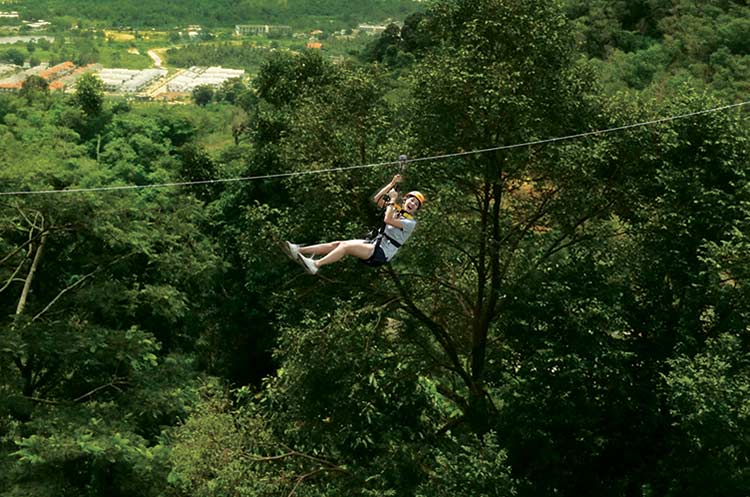 Ziplining between the trees