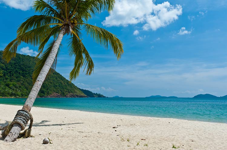 Sandy beach with palm trees on Koh Chang