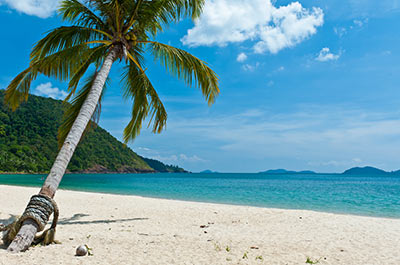 Palm fringed sandy beach at Koh Chang