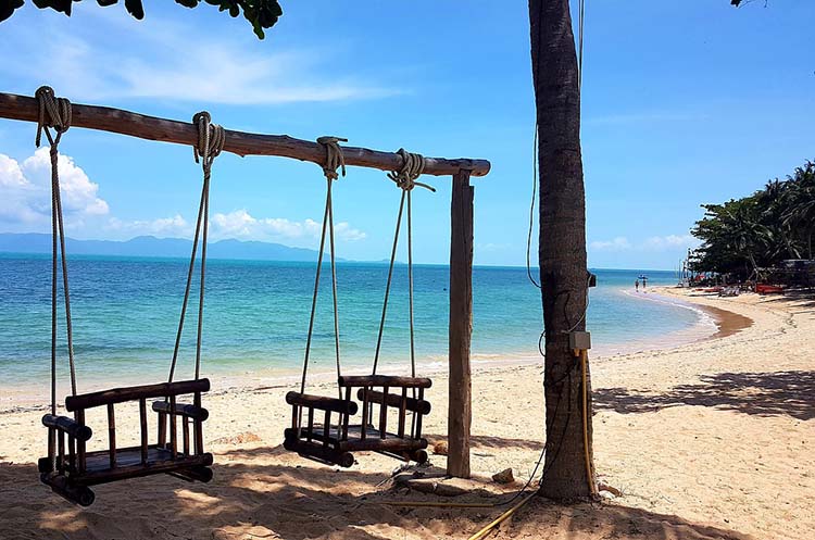 A beach on Koh Samui with a swing hanging down from a tree