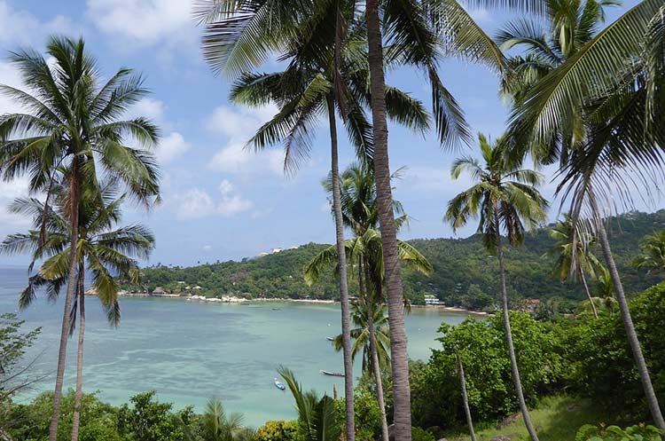 A beach on Koh Tao shelered by a bay