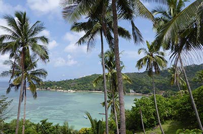 A beach on Koh Tao sheltered by a bay