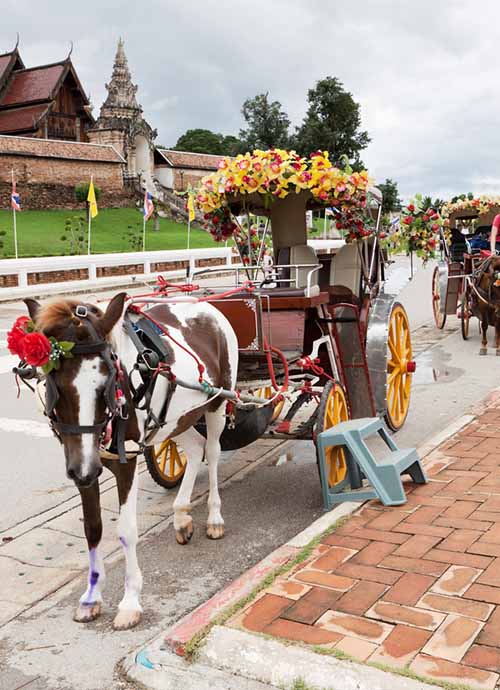A horse carriage in Lampang