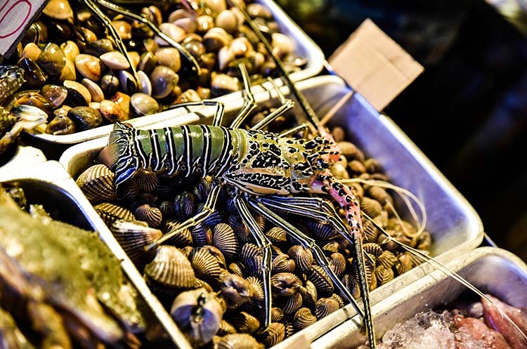 Lobster, crab and shellfish at a market