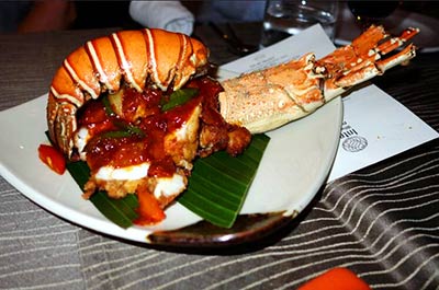 Tiger prawn