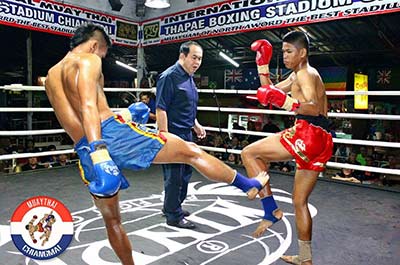 Muay Thai boxing fights at the Thapae stadium in Chiang Mai