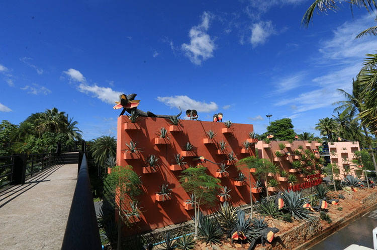 Succulant plants at Nong Nooch botanical garden