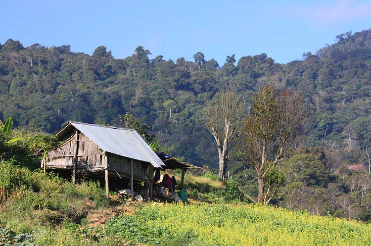 A farm in the countryside of Phetchabun province