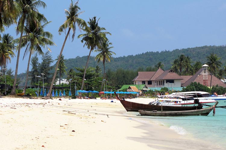 A beautiful palm tree fringed beach on Koh Phi Phi Don