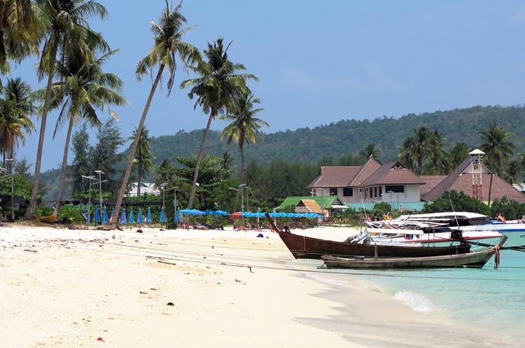 Palm fringed beach on the Phi Phi islands