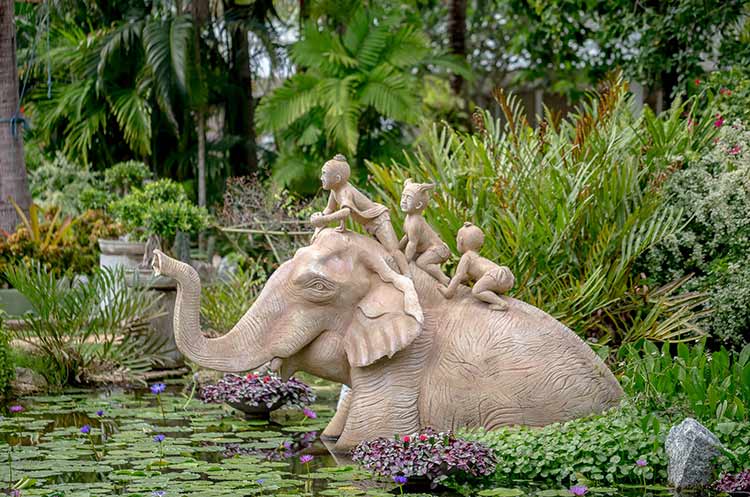 Lotus flowers in a pond