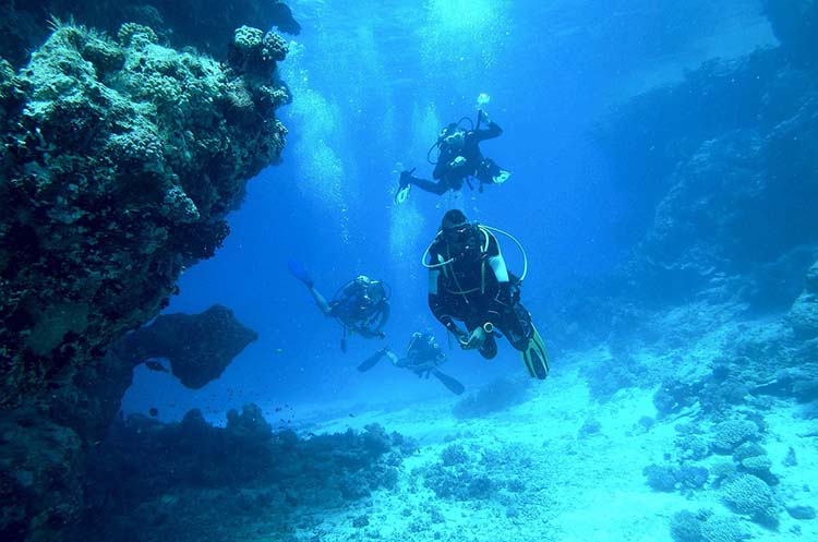 A group of scuba divers swimming near the seabed in the Andaman Sea near Phuket