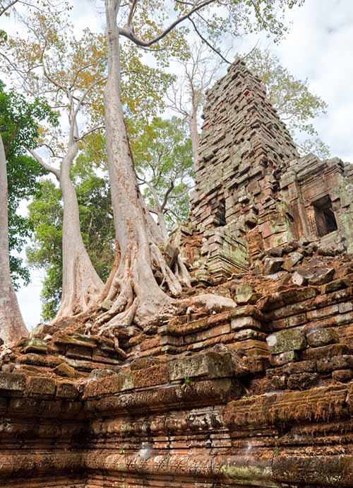 The sanctuary of the Preah Palilay in Angkor