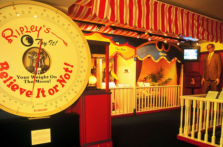 Weird, amazing, strange and surprising things at Ripley’s Believe It or Not! Pattaya