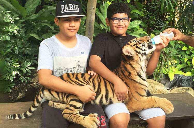 Visitors feeding a baby tiger