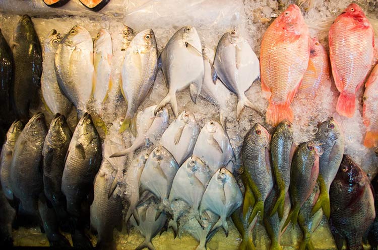 Fresh frish at the market