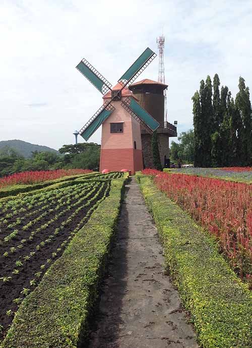 A windmill at the vineyard