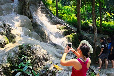 The falls in the forest