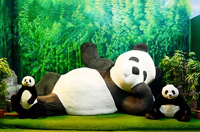 A toy panda bear with its two babies