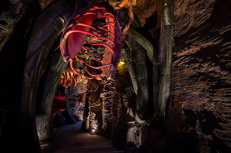 Poisonous flowers at the Blood Flower Cave