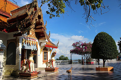 Wat Suthep temple and the viewpoint
